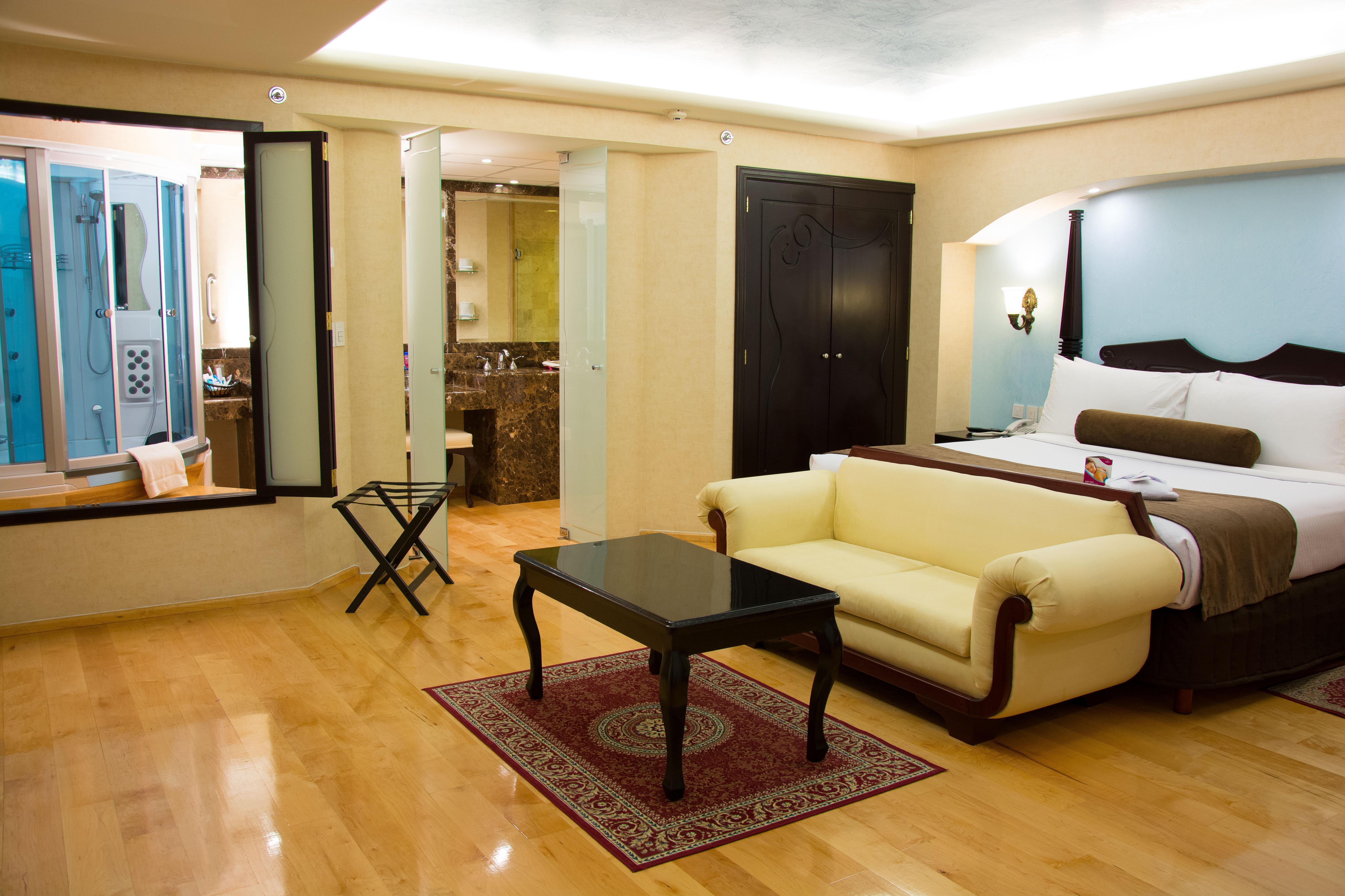 โรงแรมคราวน์ พลาซา เด เม็กซิโก เม็กซิโกซิตี้ ภายนอก รูปภาพ A suite at the hotel